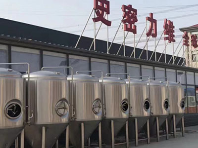 玉林精酿啤酒设备厂—市场规模与跨界新需求